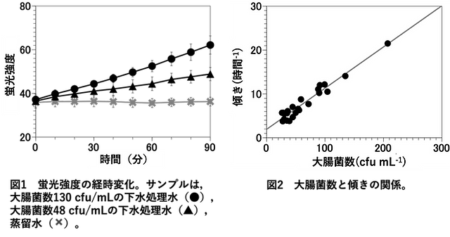 実施例(大腸菌).png