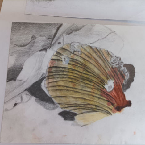 Art from before starting college