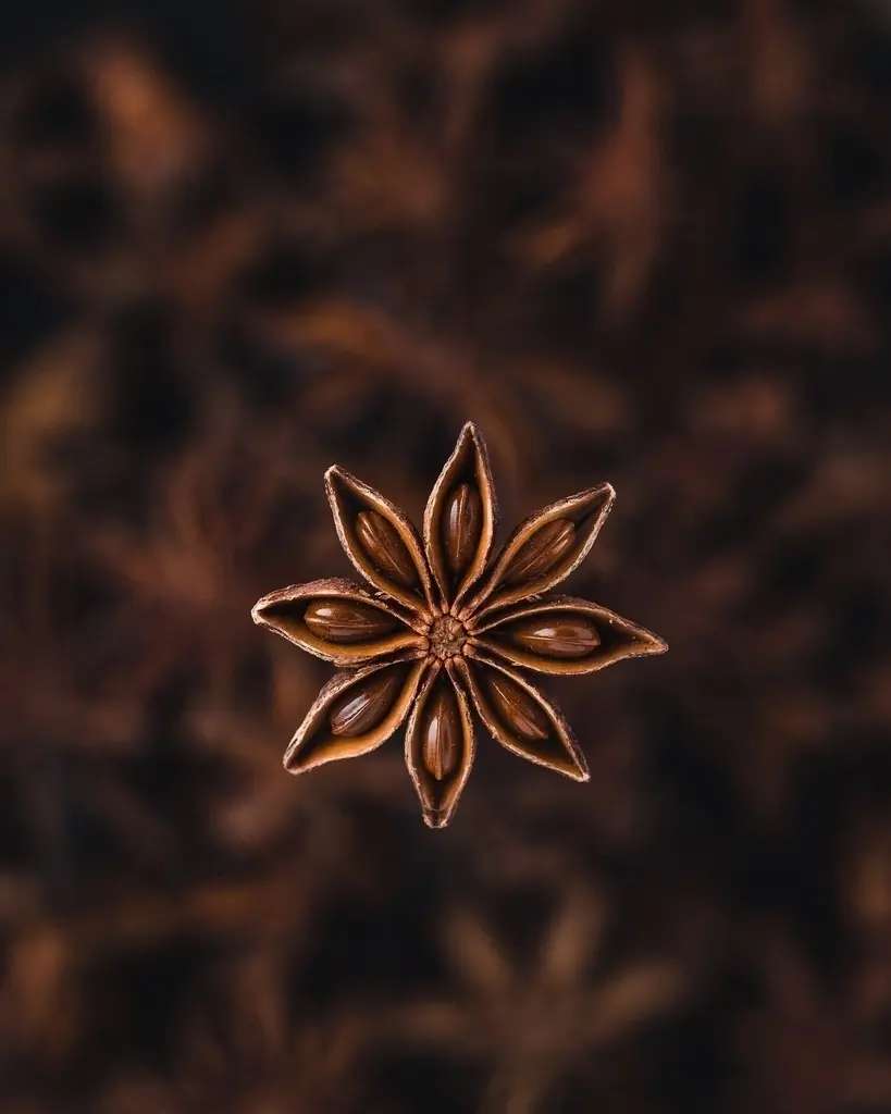 Star anise pods on a dark background