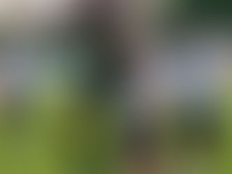 VORCHDORF DOMINANT, ABER GLÜCKLOS! Nach starker Leistung wieder nur 1:1 gegen Frankenburg!