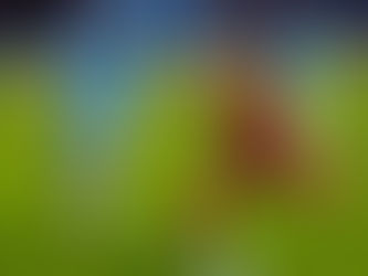 SCHLAGERSPIEL IN SCHWAUNA! ASKÖ VORCHDORF GEGEN UNGESCHLAGENEN TABELLENFÜHRER!