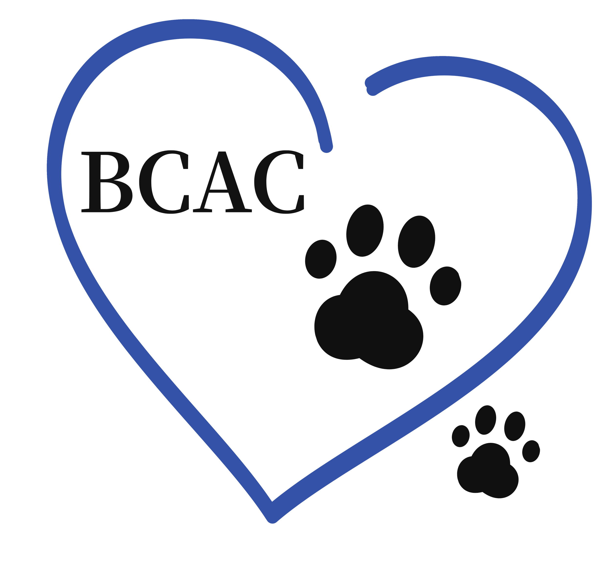 Veterinarian Bay Creek Animal Clinic League City