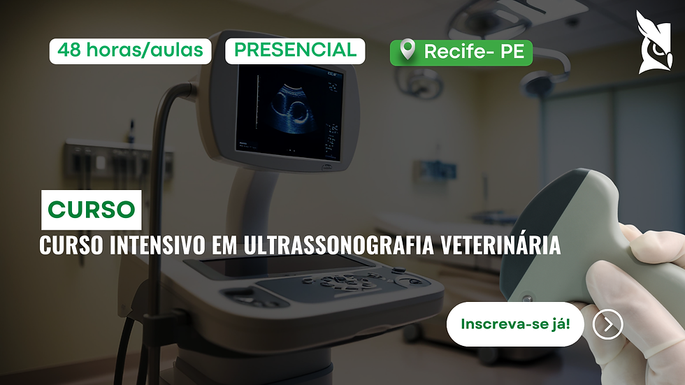 Curso INTENSIVO em Ultrassonografia em pequenos animais