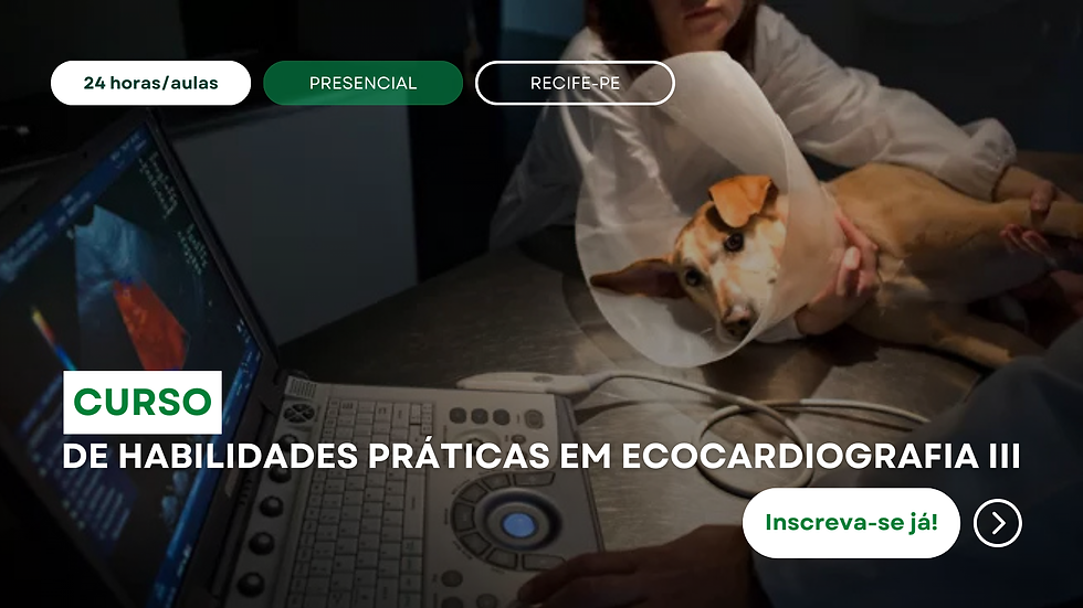 Curso de Habilidades Práticas em Ecocardiografia IIl