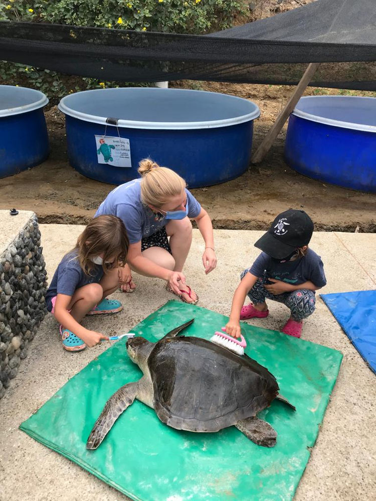Why Should We be Teaching Wildlife Conservation in Schools?