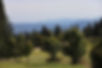 Niedamirow-view-4.JPG