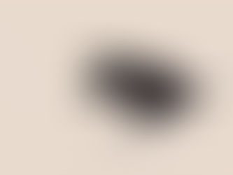 Bada Shanren — Minimalism & Expressive Abstraction