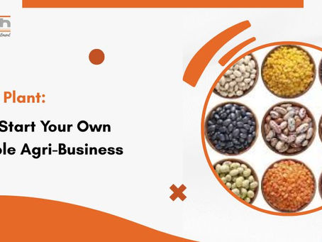 Dal Mill Plant: How to Start Your Own Profitable Agri-Business