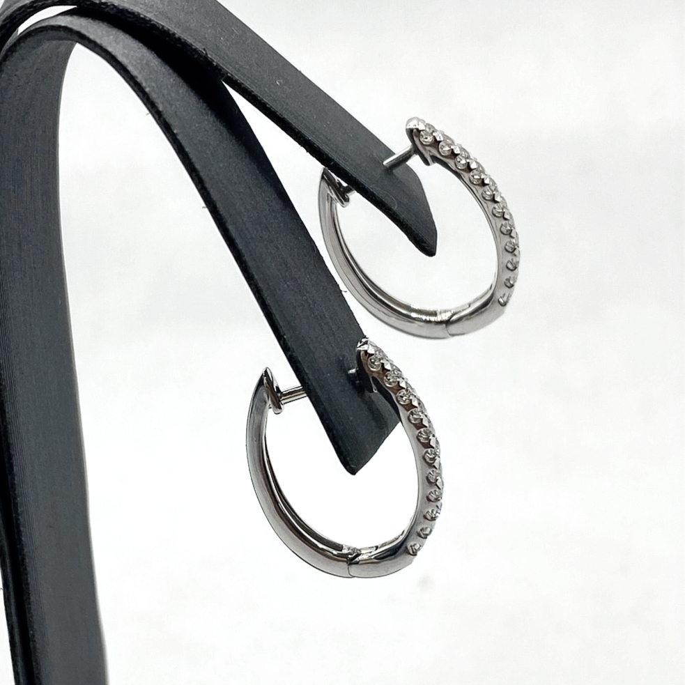 solid very light gray square 2d flat solid single color, no texture.jpg