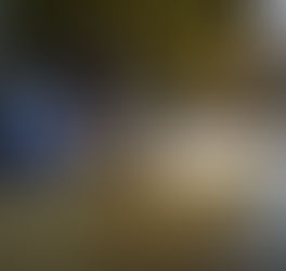 On-site Pilates Sessions (Private/Group)