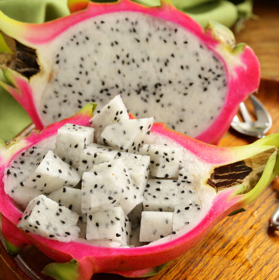 Dragon Fruit (Hylocereus undatus)