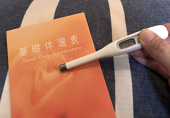 基礎体温表体温表