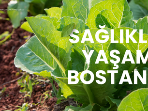 Sağlıklı Yaşam Bostanı Projesi - Sponsorluk Çağrısı