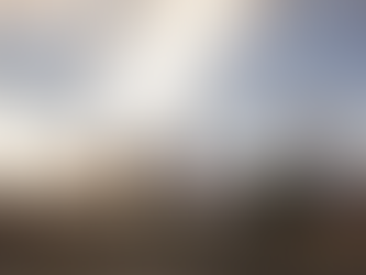 Seeing Beyond The Strip: West Las Vegas and It's Role in Racial Justice in Sin City