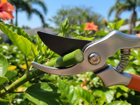 Why Sharp Garden Tools Help Plants Heal Faster