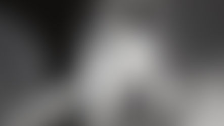 O ataque esquerdeiro à memória de Sílvio Santos