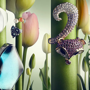 Art Direction / Product shoot