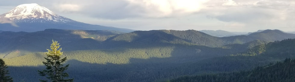Resized_20180804_194204_6231_edited.jpg