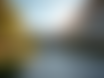 Benefits of Consulting Perth Education Agents