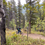Thumbnail: Braggin' Rights  -  3"x3" Outdoor Sticker