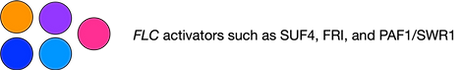 key