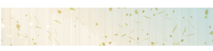 washi.png