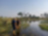 Okavango_Walking_Safaris_Walking_Delta.jpg