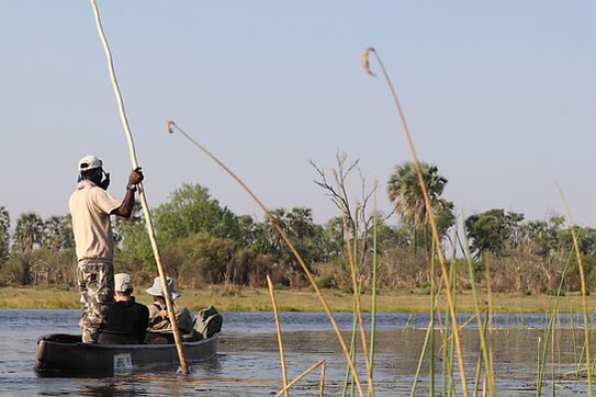 Okavango_Walking_Safaris - 4b.jpeg