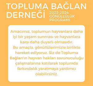 Topluma Baglan Dernegi.png