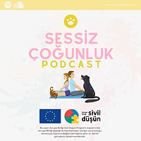 SESSİZ ÇOĞUNLUK (6).png