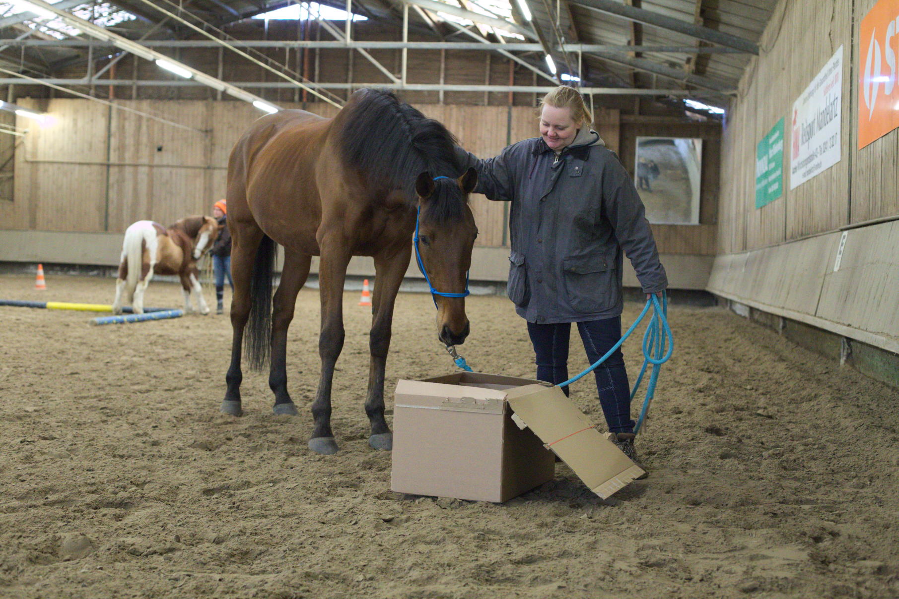 Horsemanship-Training