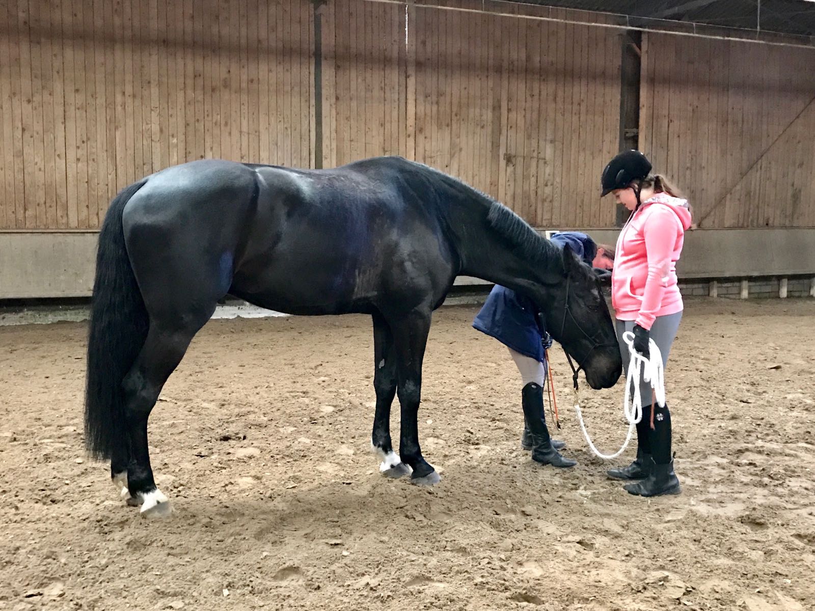 Horsemanship-Training