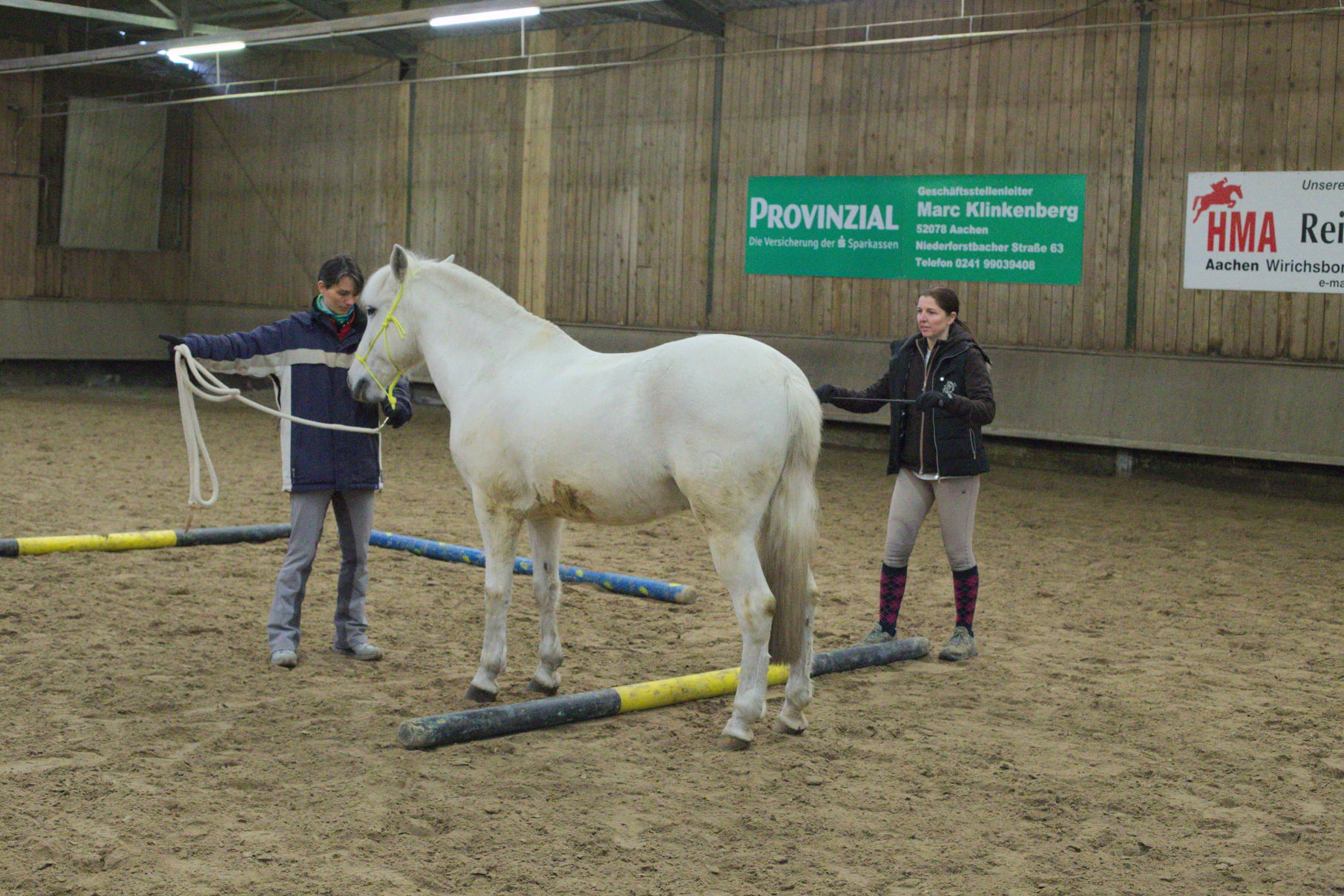 Horsemanship-Training