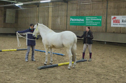 Horsemanship-Training