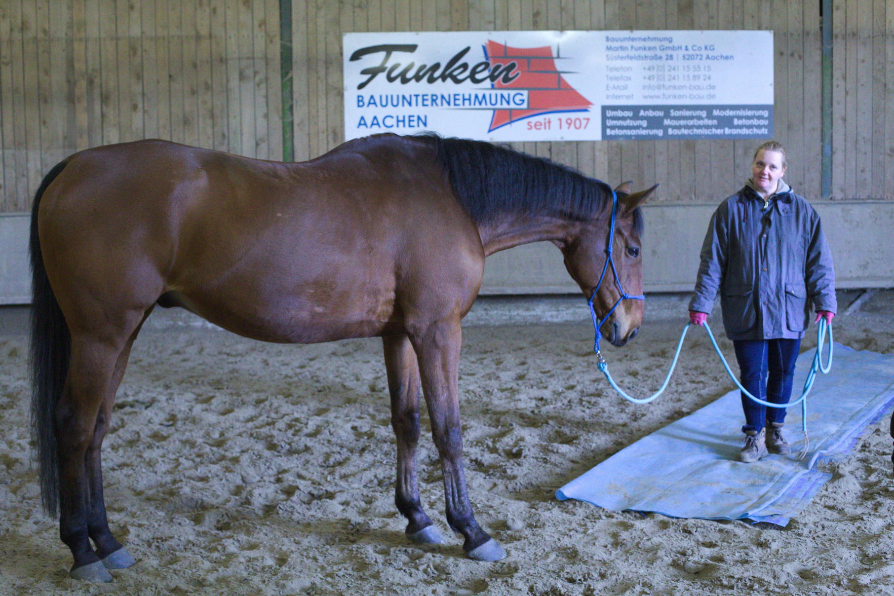Horsemanship-Training