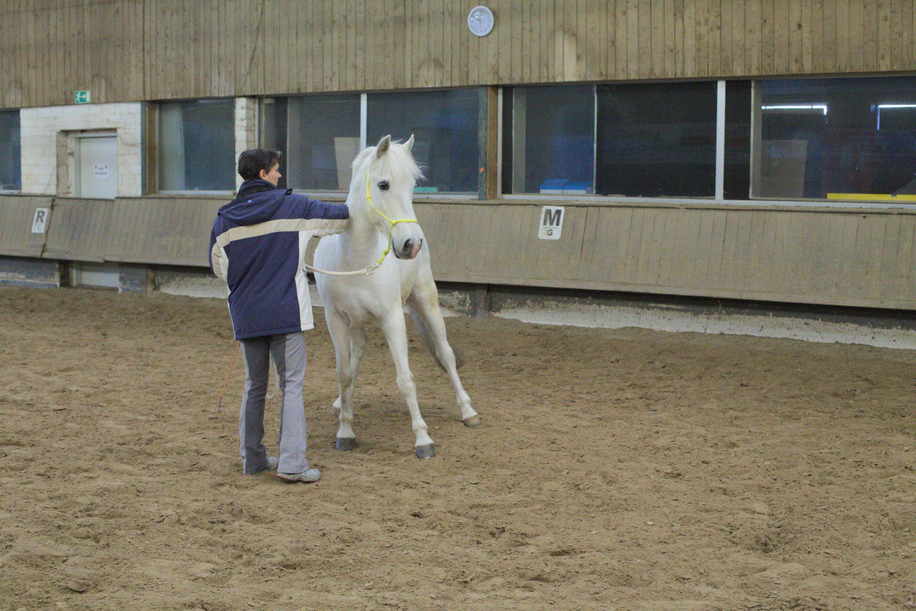 Horsemanship-Training