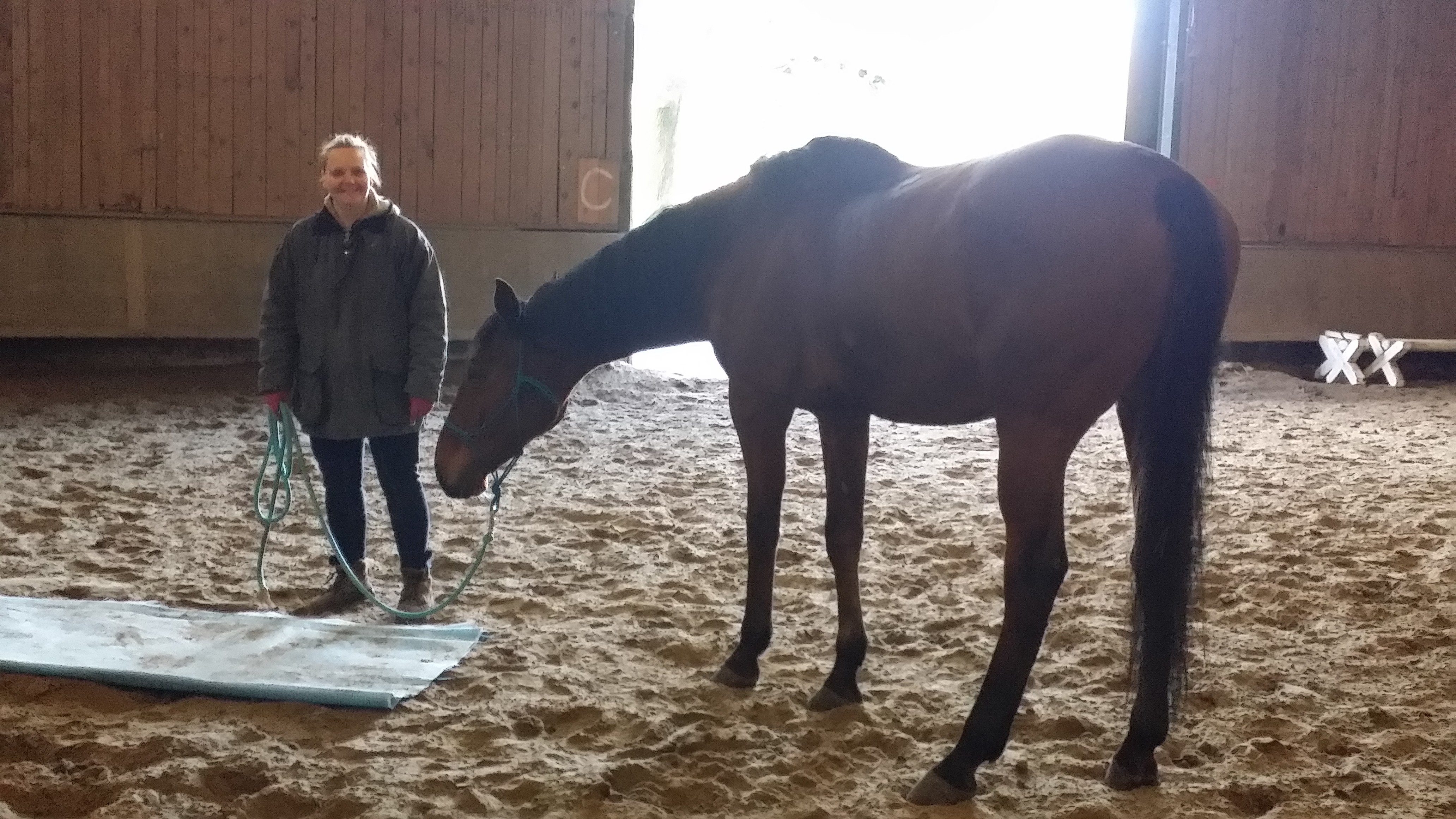 Horsemanship-Training