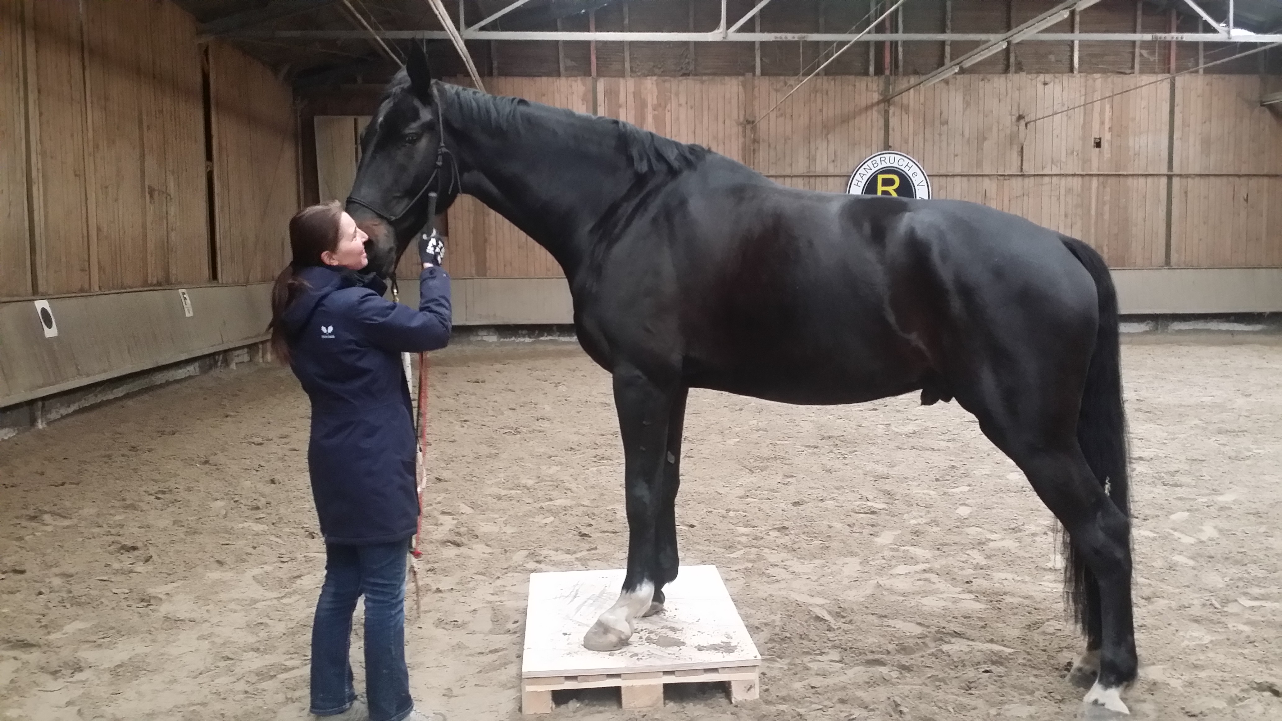 Horsemanship-Training