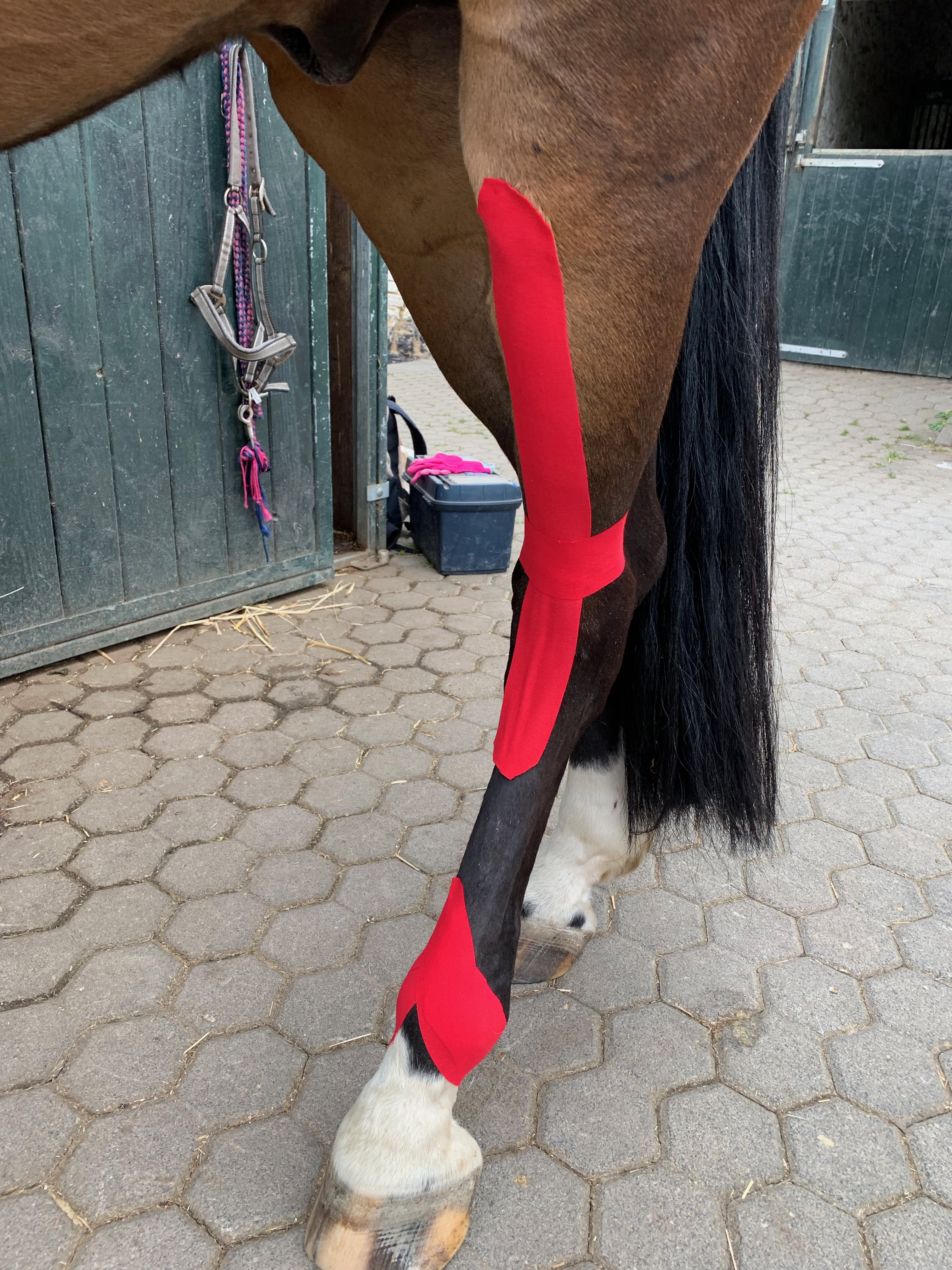 Training mit Tapeanlagen