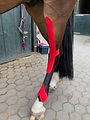 IMG_1384.jpeg
