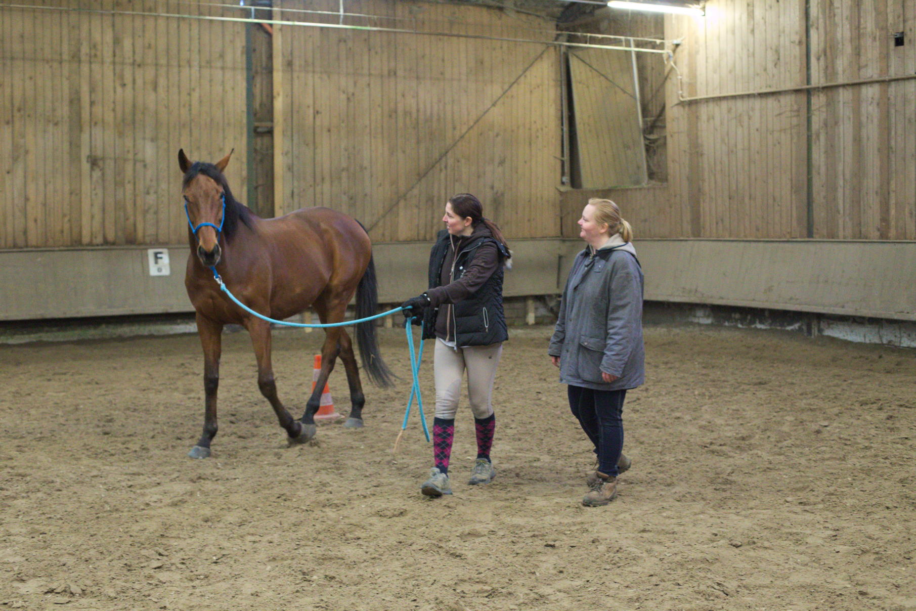 Horsemanship-Training
