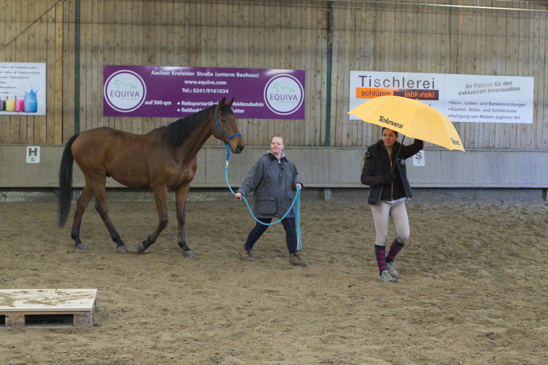 Horsemanship-Training