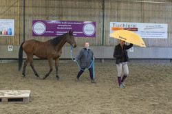 Horsemanship-Training