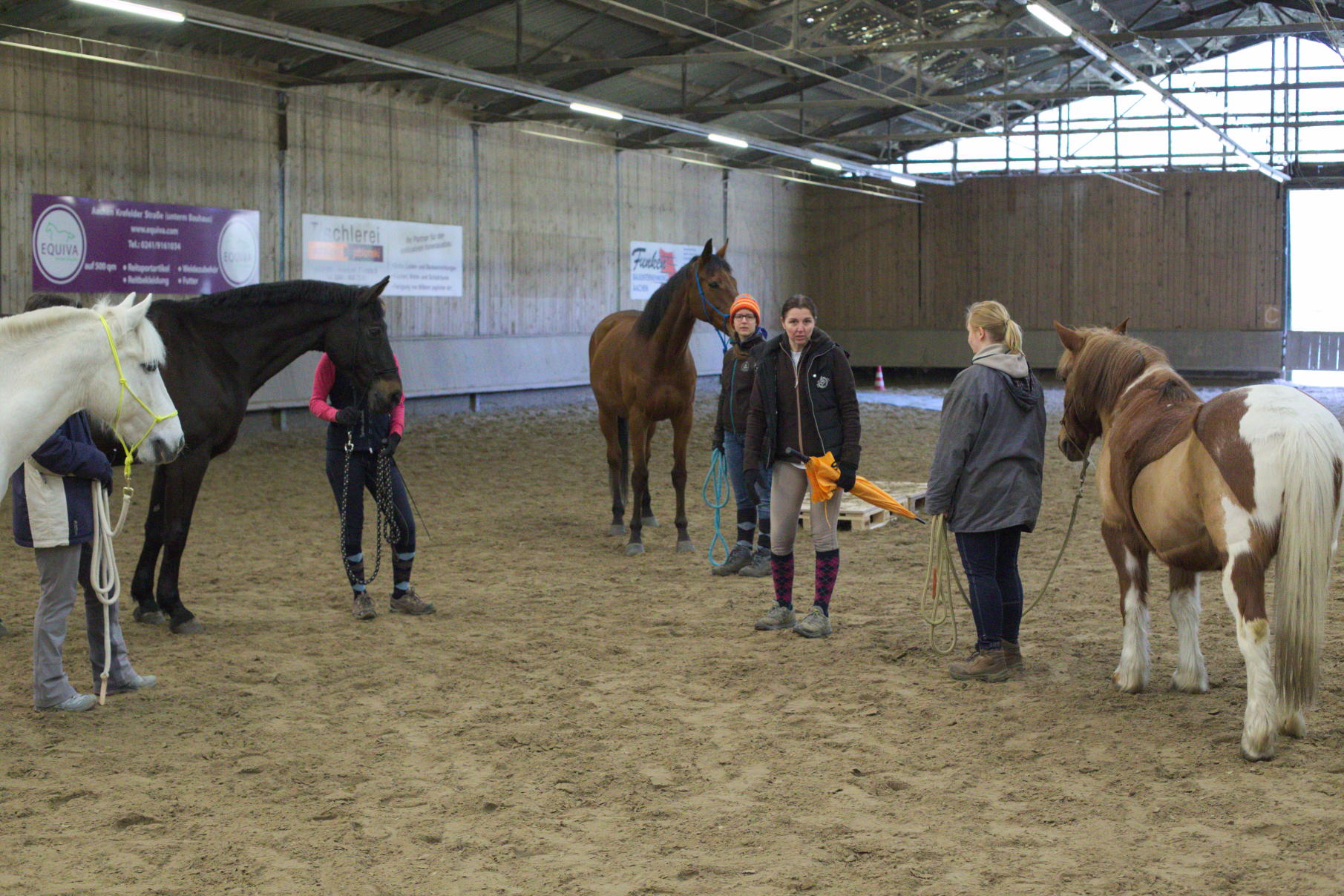 Horsemanship-Training