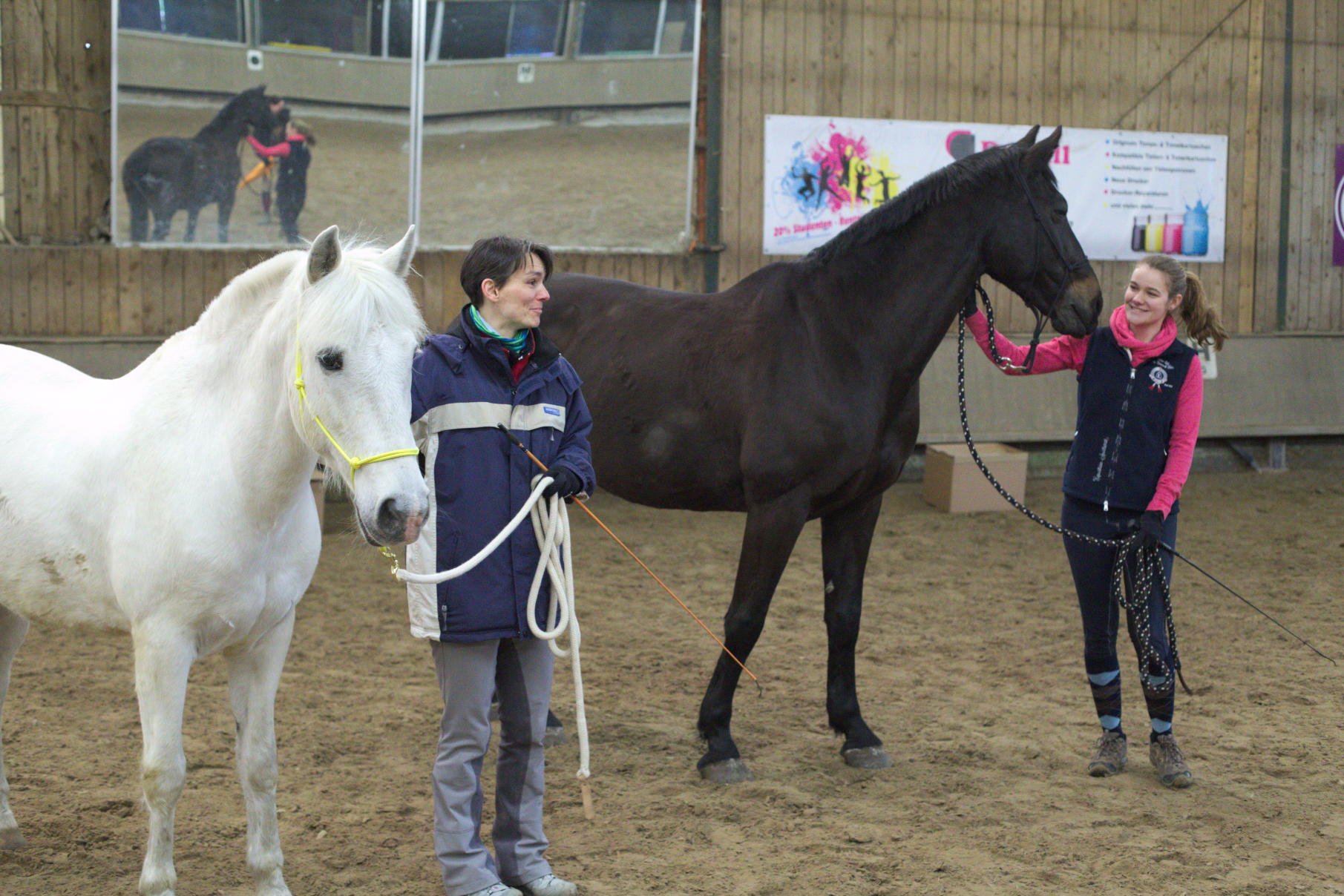 Horsemanship-Training