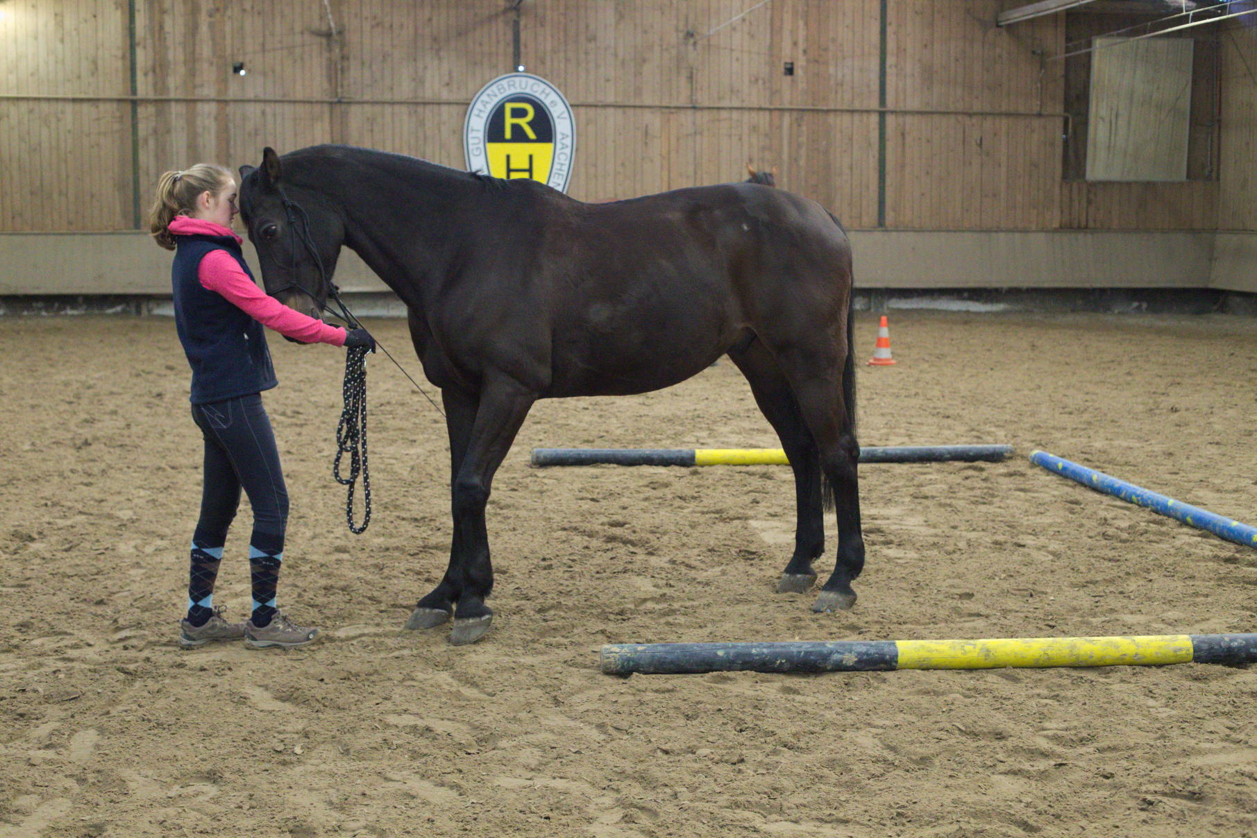 Horsemanship-Training