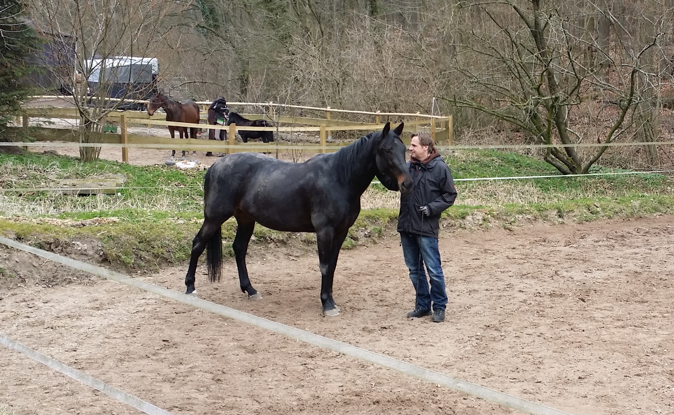 Pferdegestützes Coaching