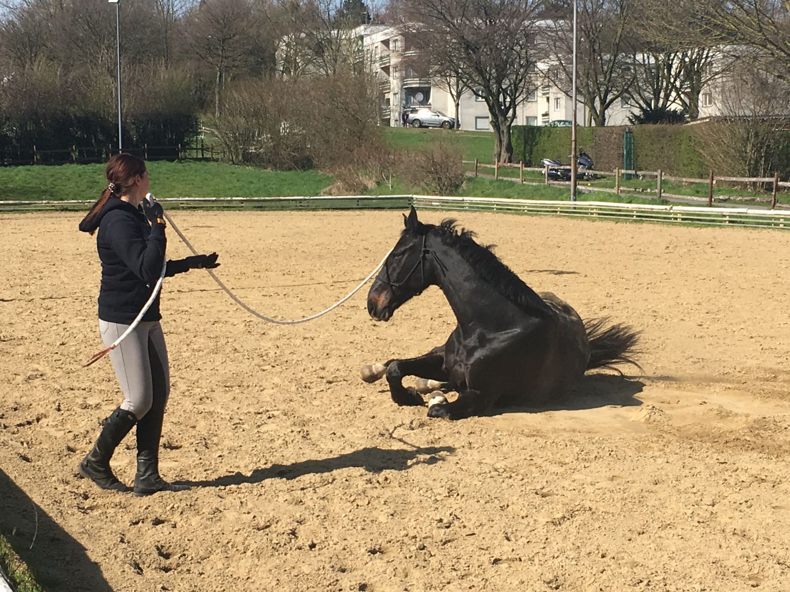 Horsemanship-Training
