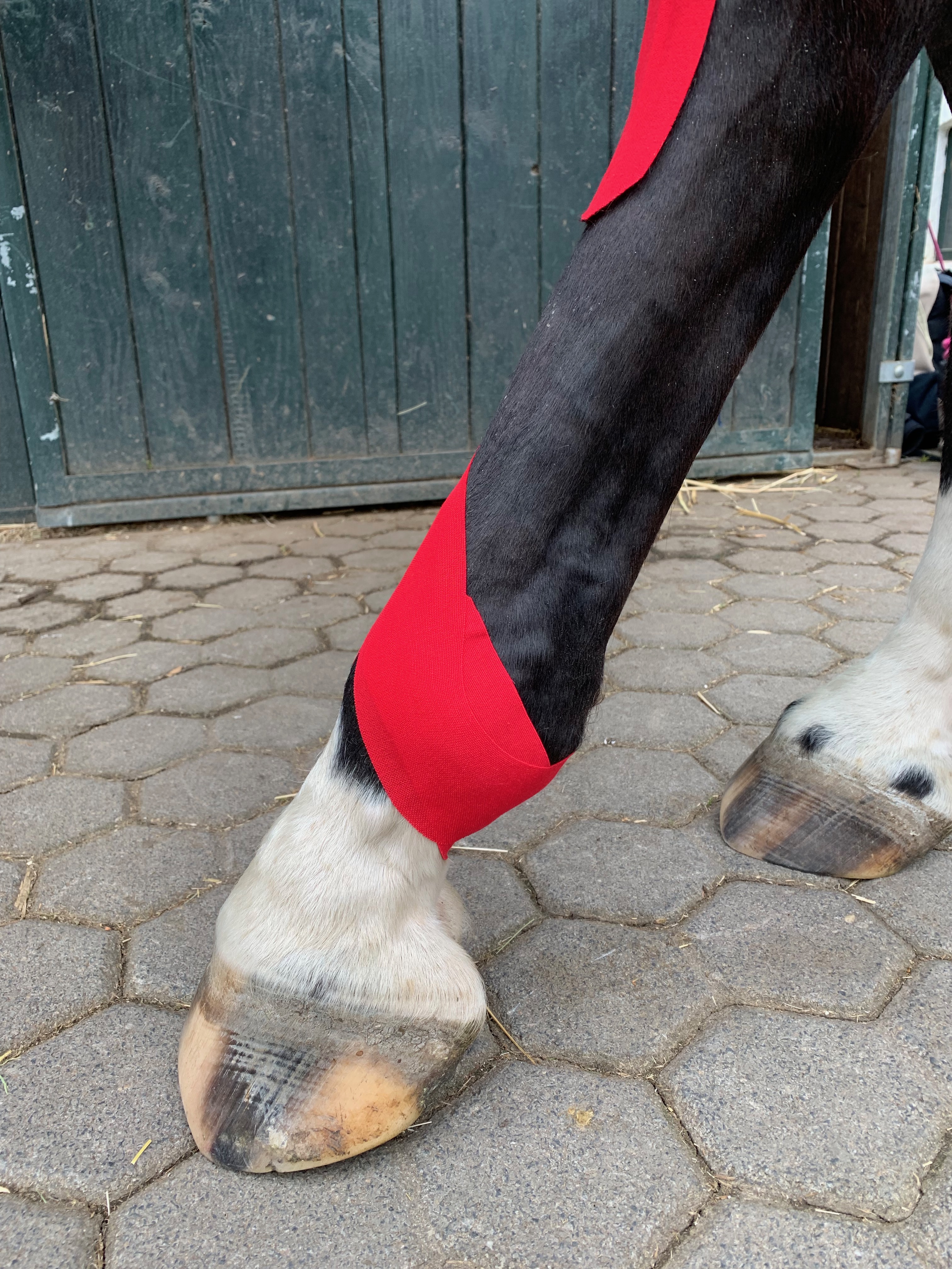 Training mit Tapeanlagen