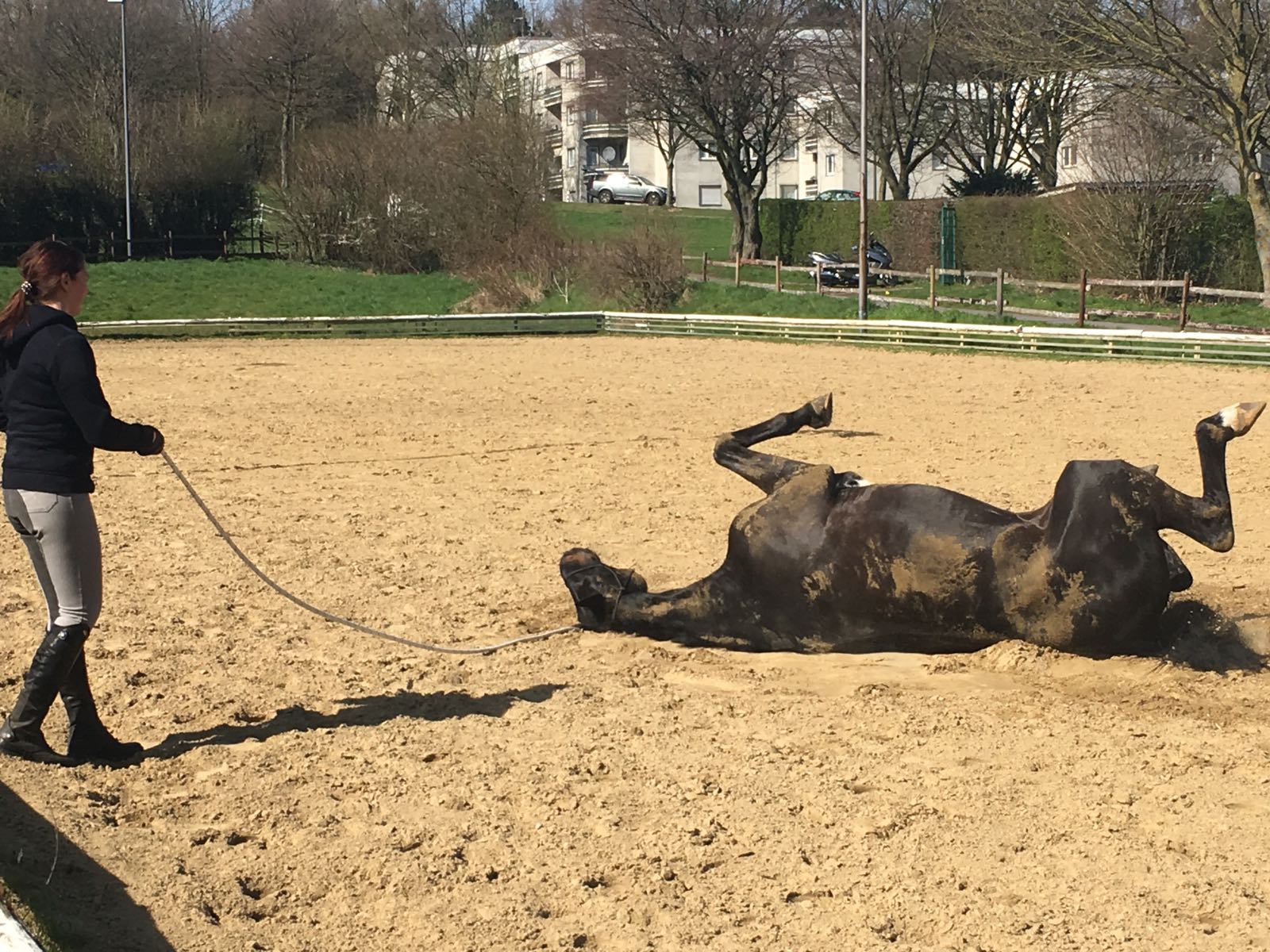 Horsemanship-Training